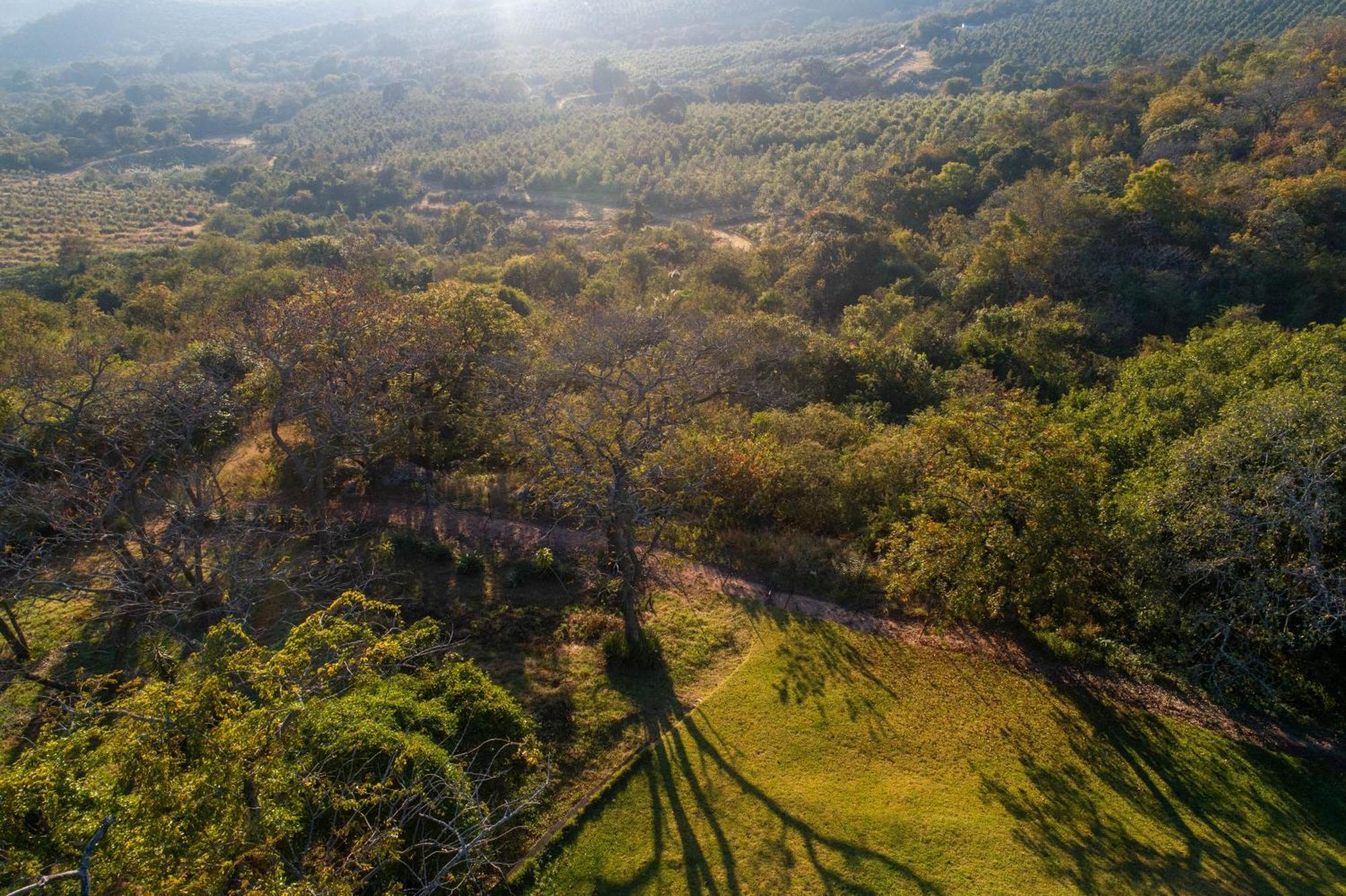 Chestnut Country Lodge 헤이지뷰 외부 사진