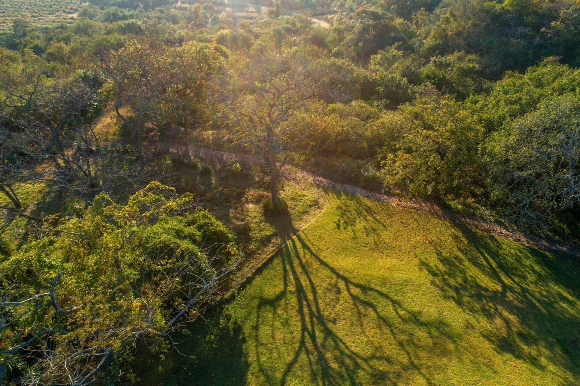 Chestnut Country Lodge 헤이지뷰 외부 사진
